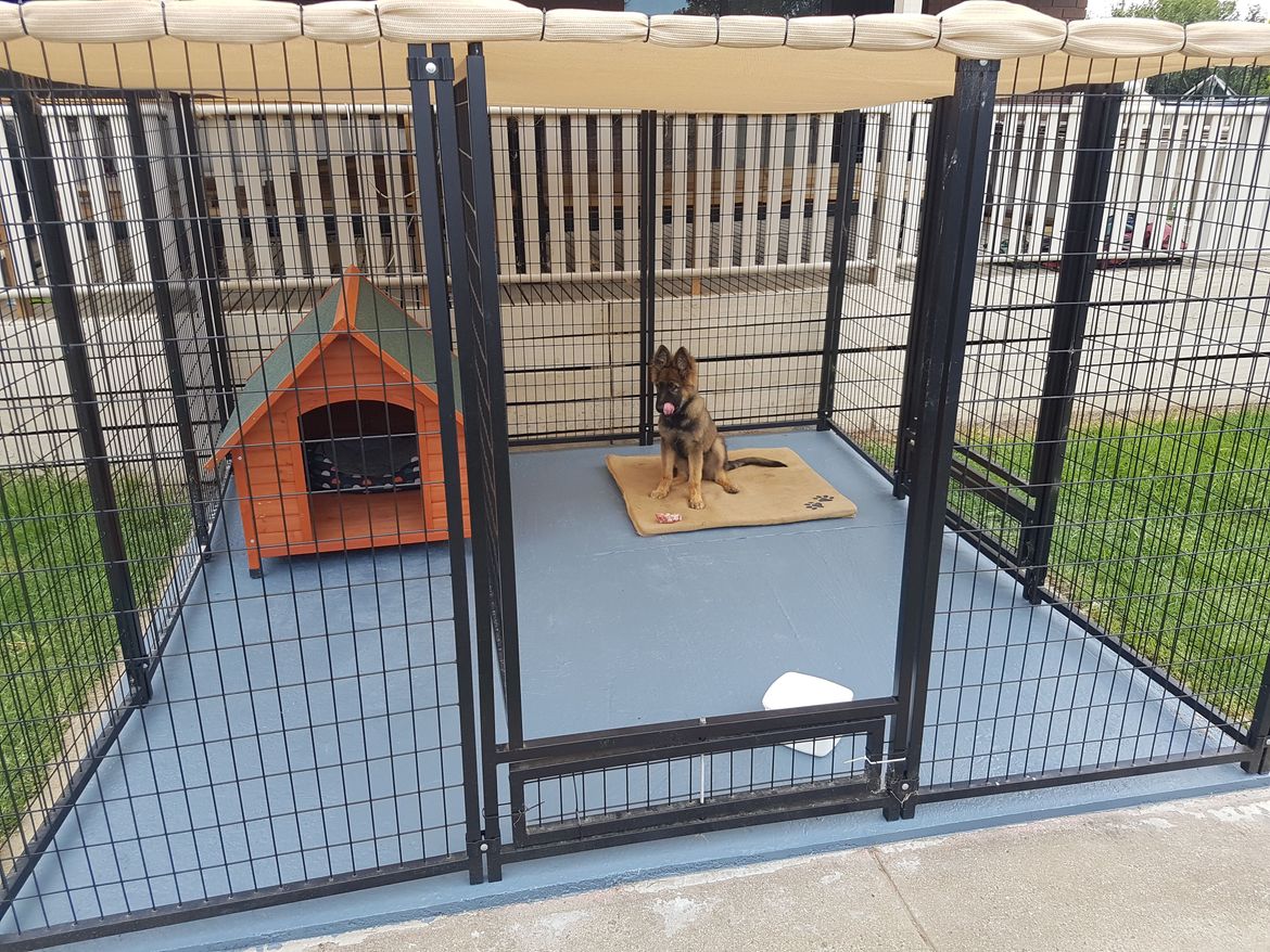 Dog enclosure with concrete slab Bunnings Workshop community