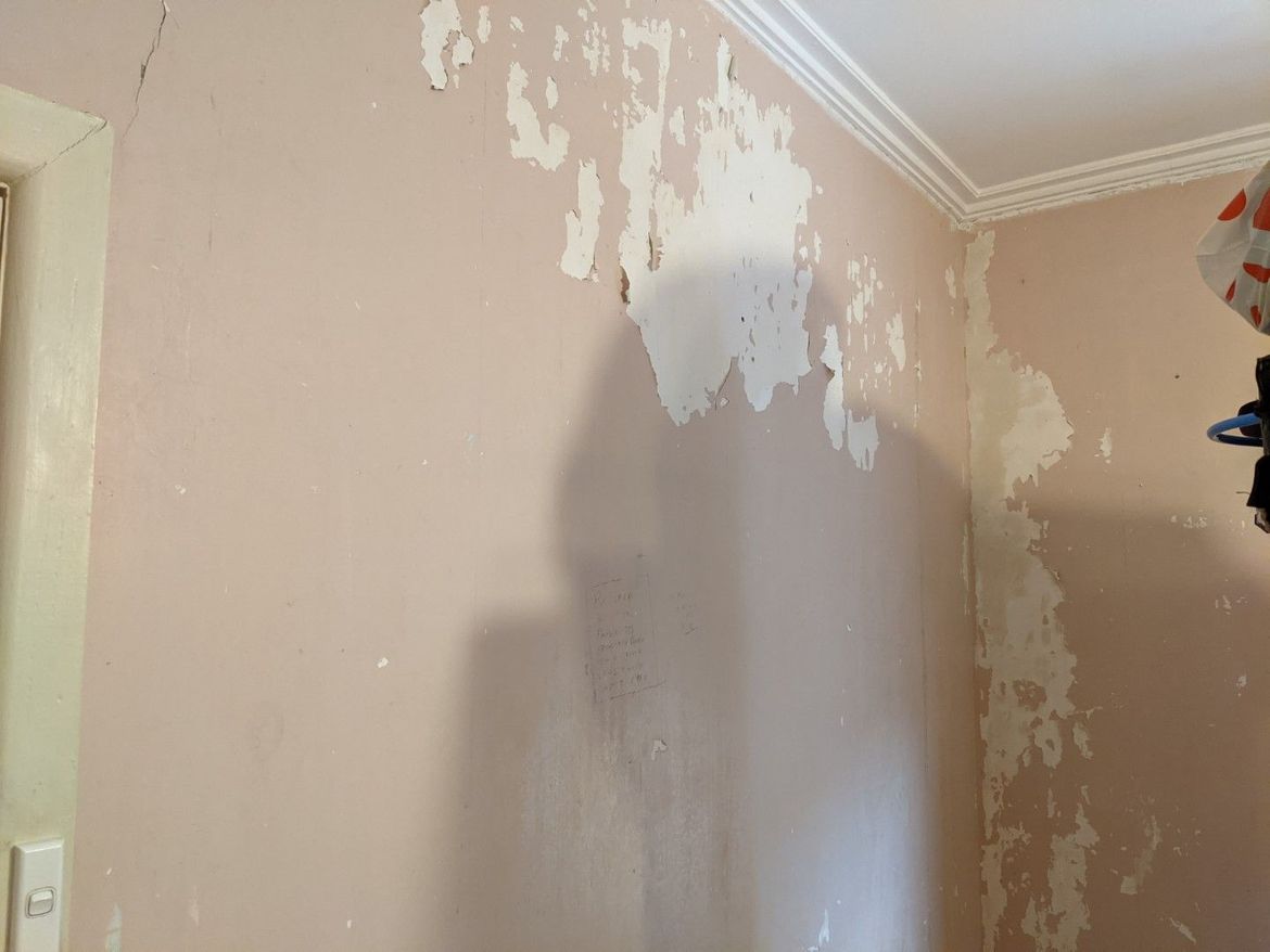 Solved Painting Walls After Removing   Bunnings Workshop   Large