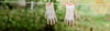 GardeningGloves.png