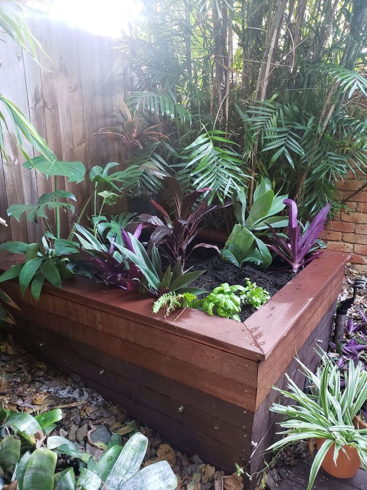 gardenbed1.jpg