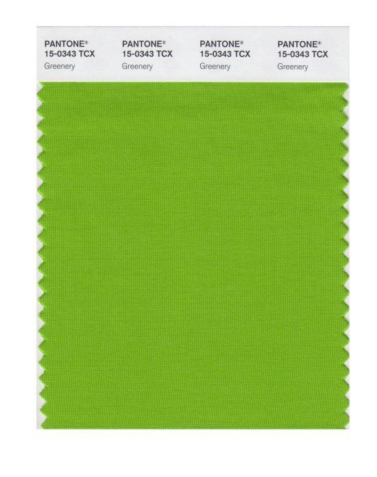 Do-You-Like-Pantone-Color-2017-Greenery.jpg