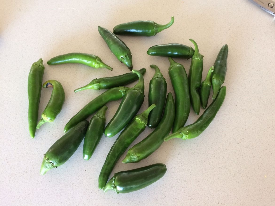 jalapenohaul.jpg