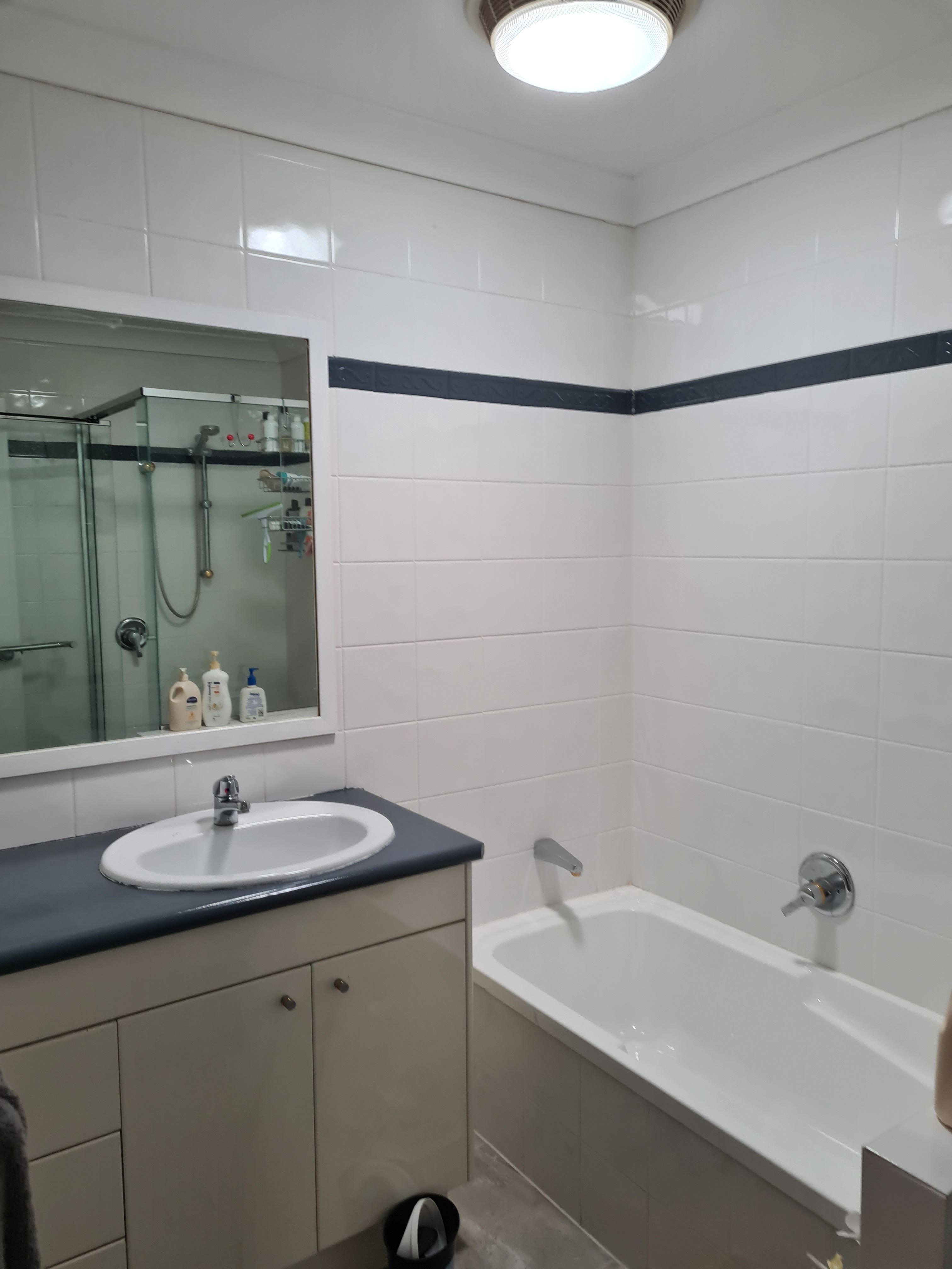 Dulux renovator range to paint bathroom Bunnings community