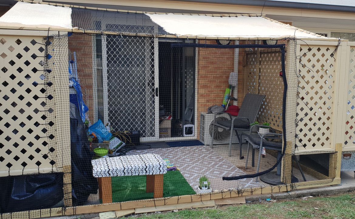 Cat shop enclosures bunnings