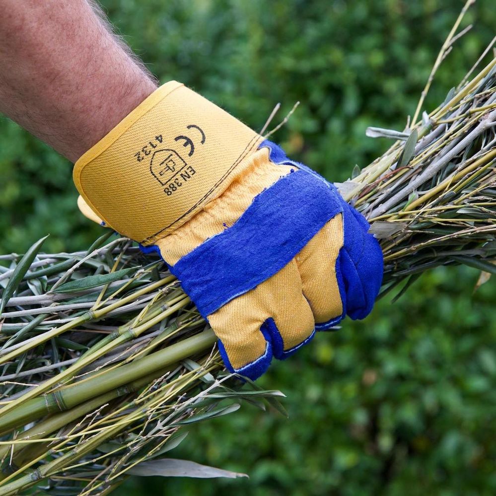 General duty cotton and leather gloves are ideal for garden clean ups.