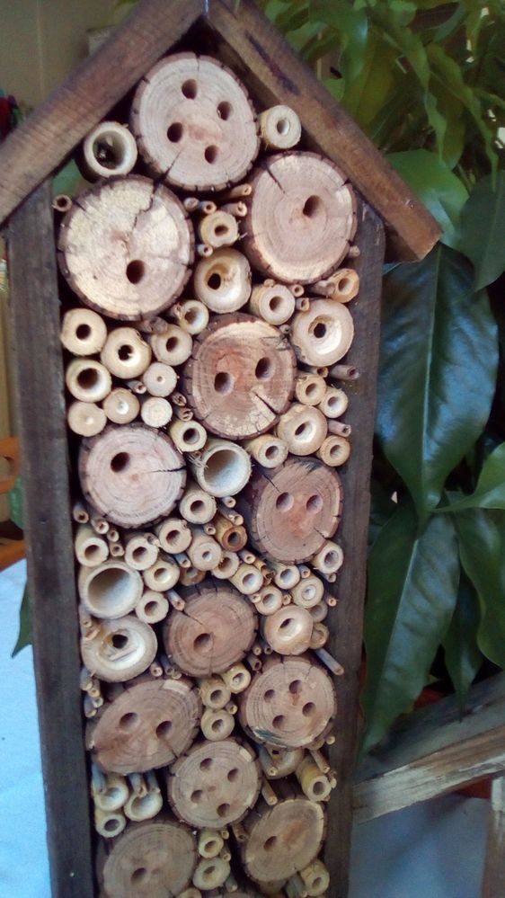 Bunnings bee house | Bunnings Workshop community