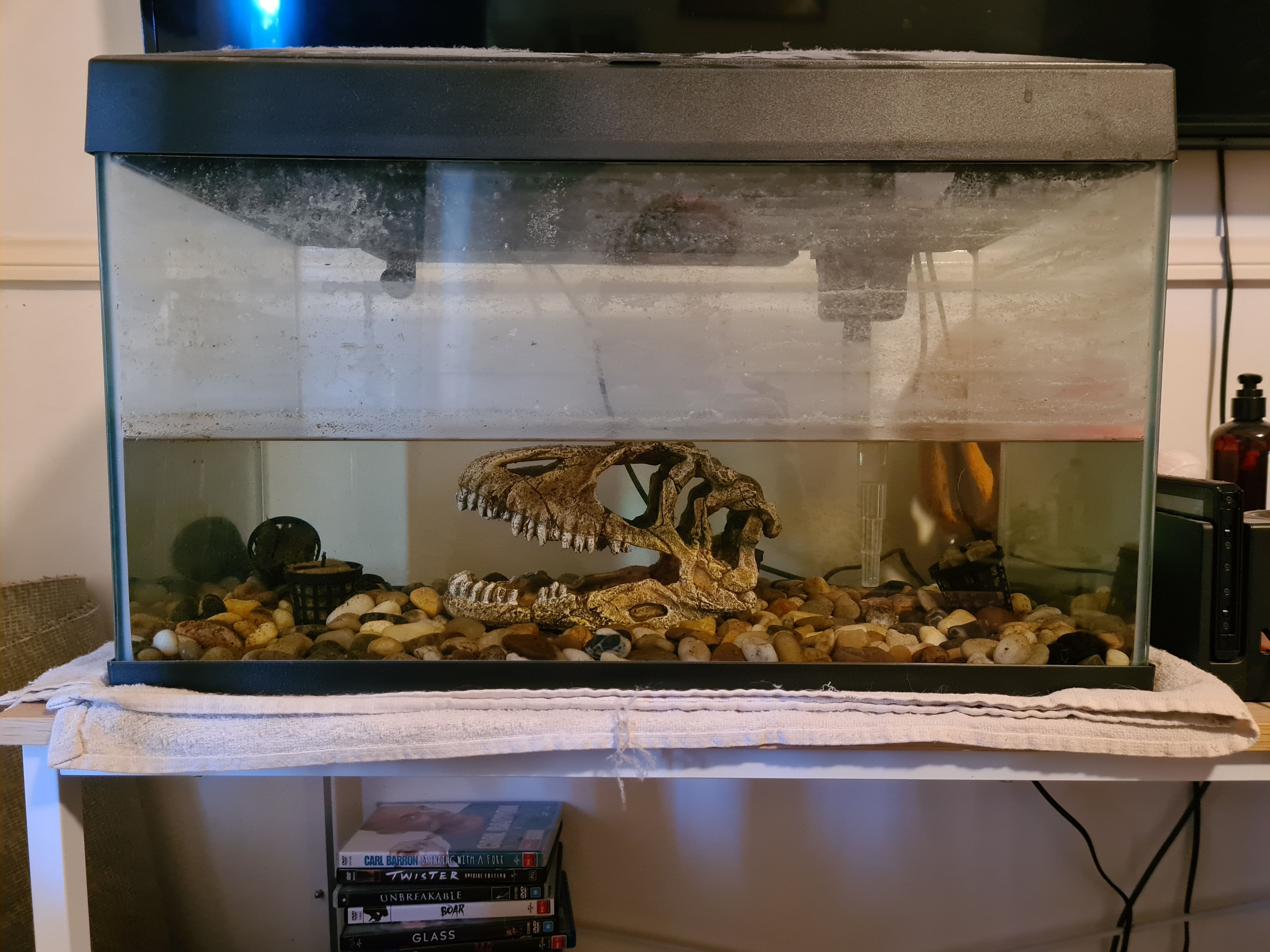 Glass aquarium 50l