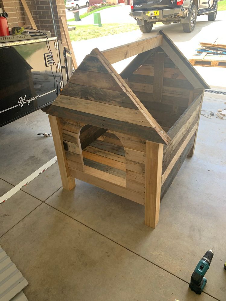 Dog kennel store made from pallets