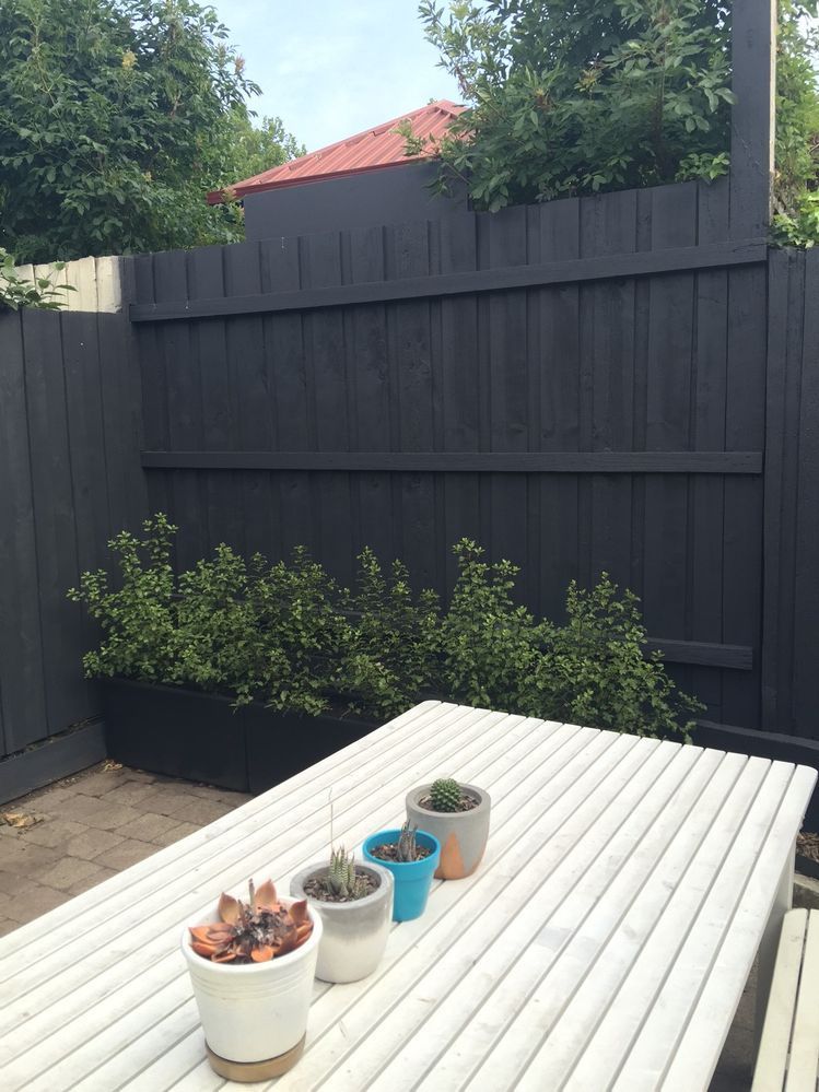 Easy Fence Painting Makeovers Bunnings Workshop Community   Large