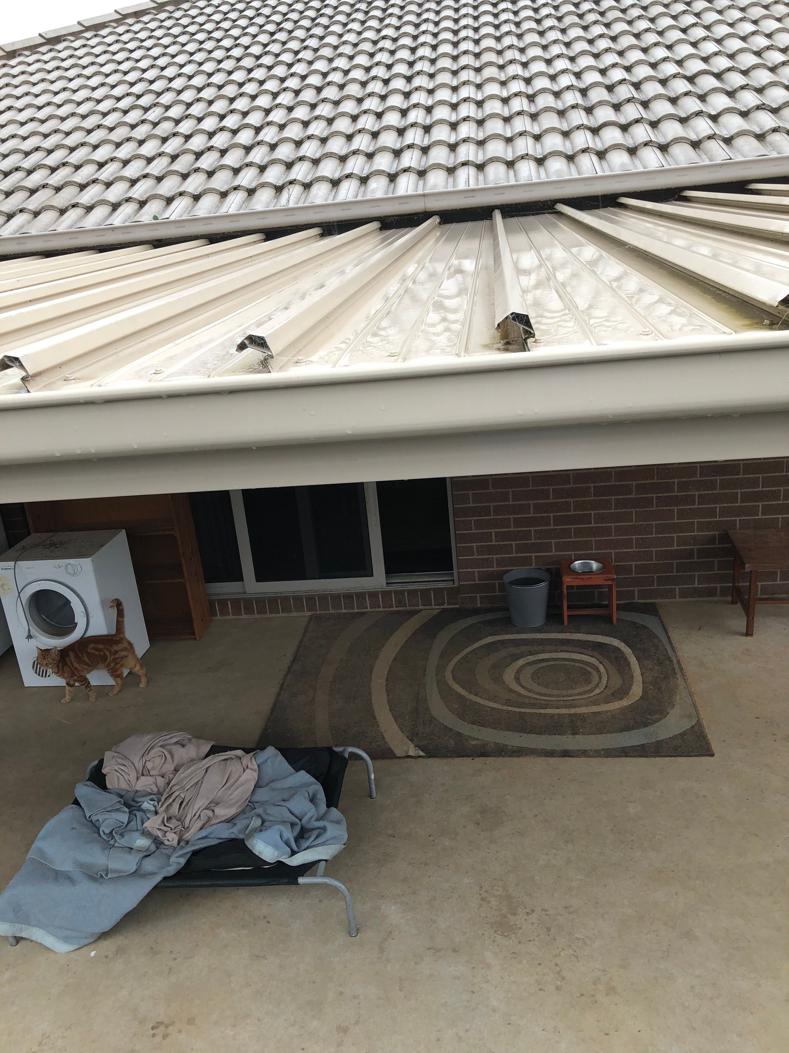 How to stop condensation on patio roof? Bunnings community