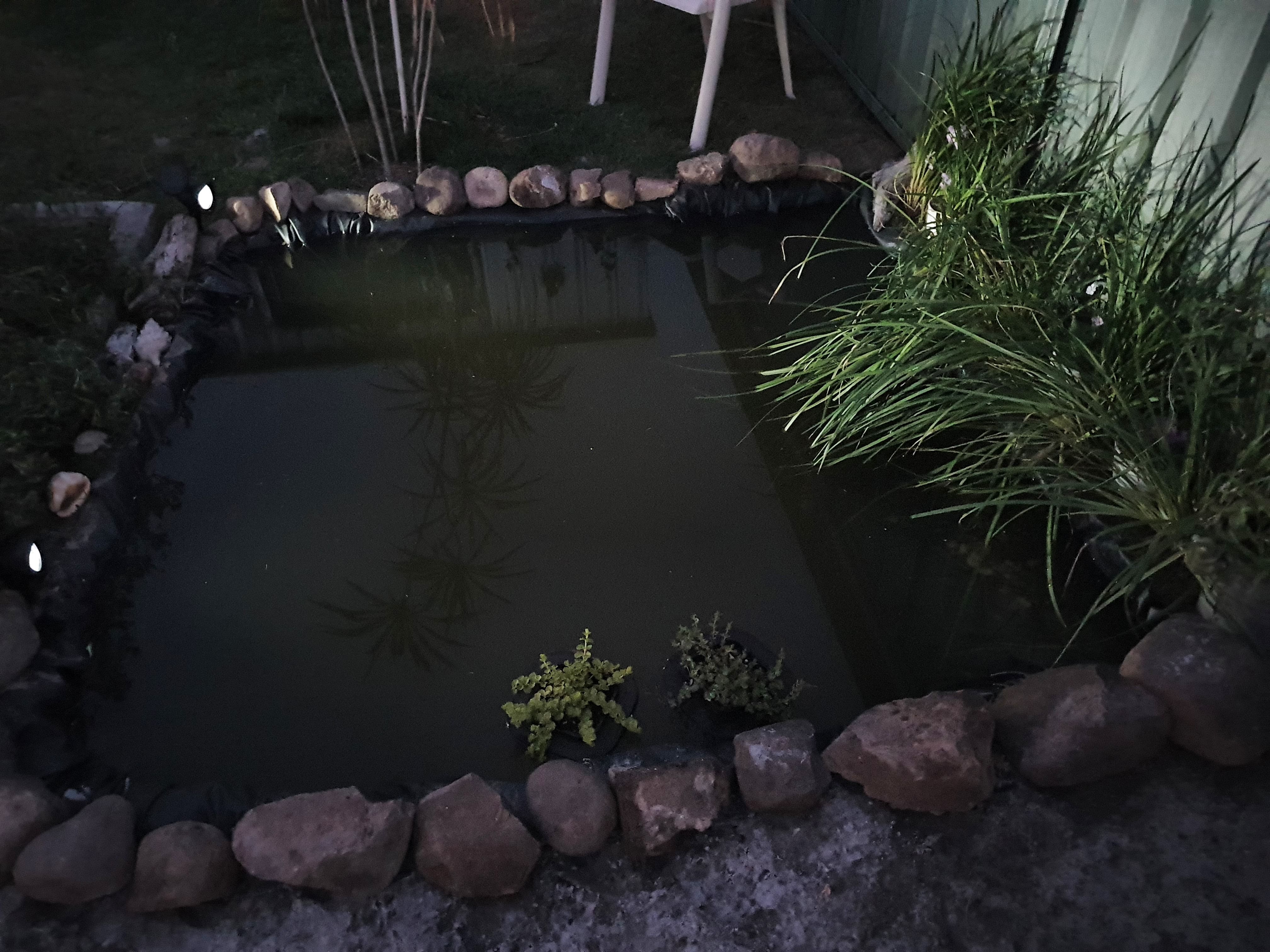 Re: Small Pond - Page 2 | Bunnings Workshop community