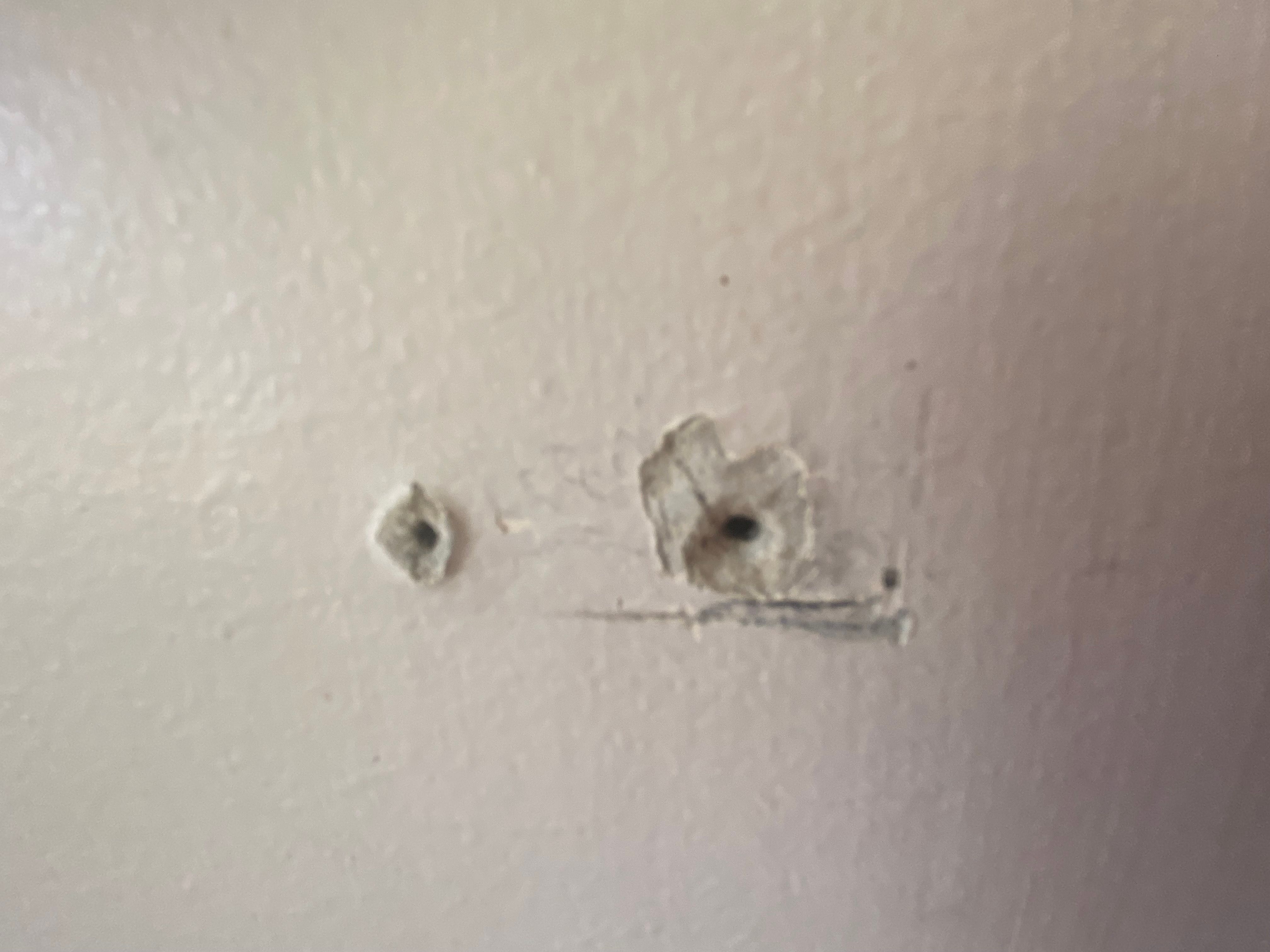 Solved: Can anyone identify this bathroom wall l... | Bunnings Workshop ...