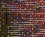 Refurbished Brick Wall.GIF