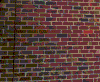 Refurbished Brick Wall.GIF