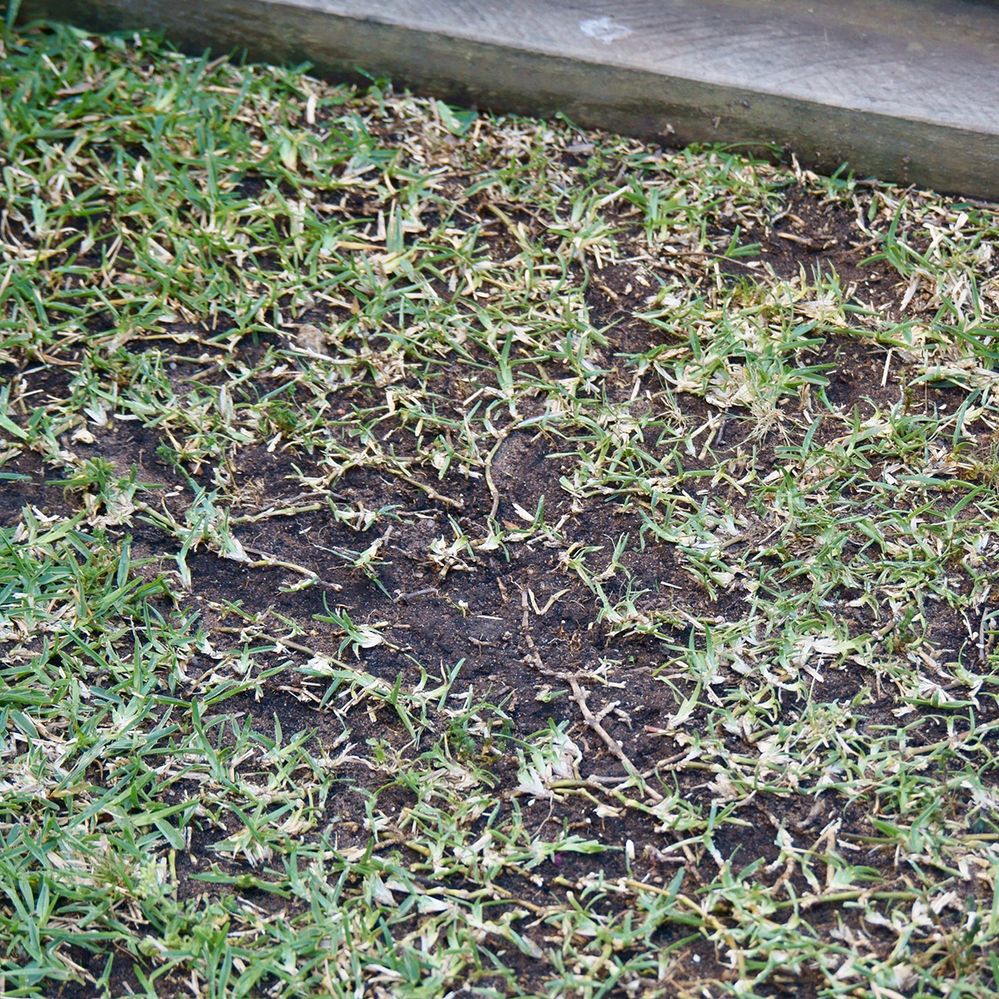 Compacted soil at the bottom of a set of steps.