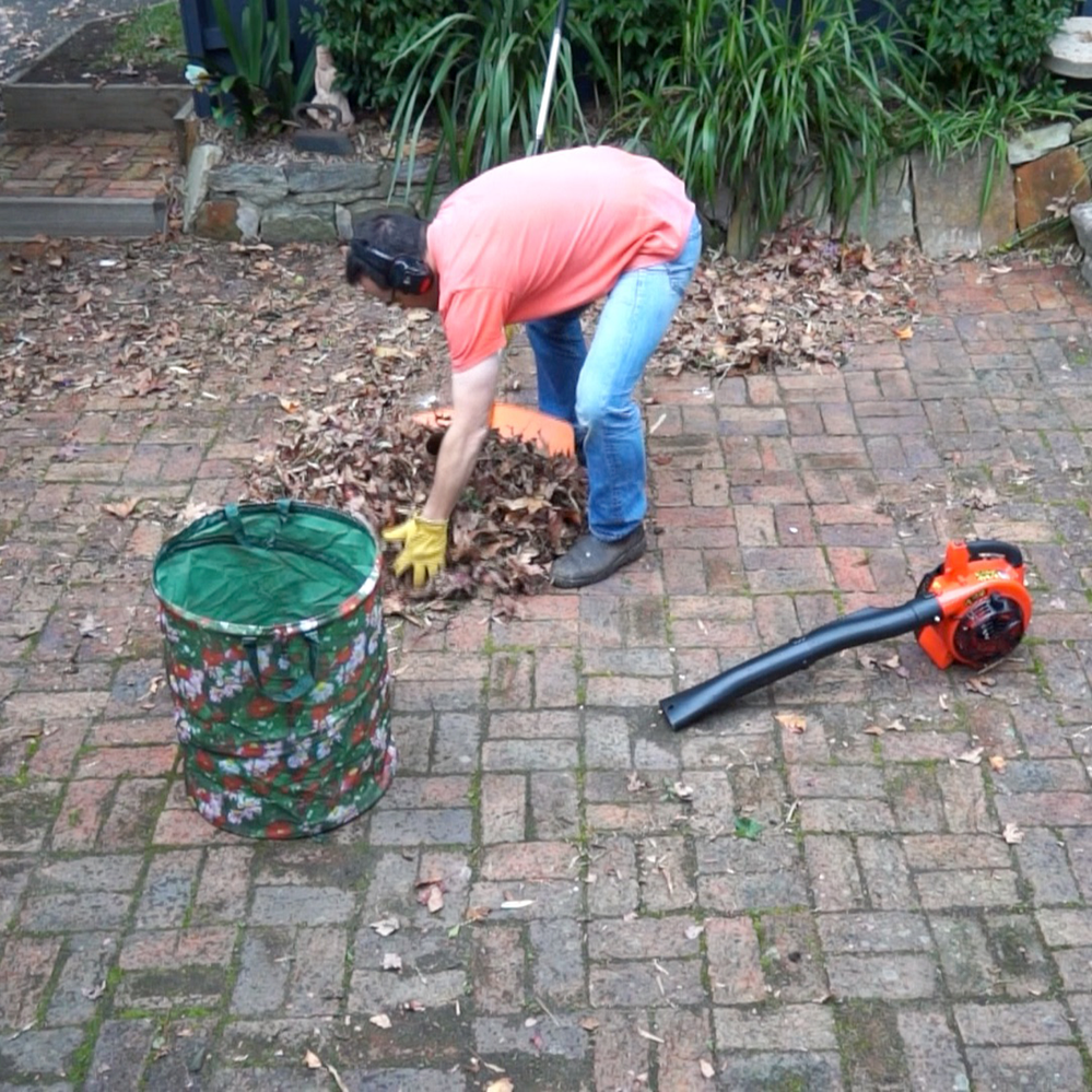 Collect piles as they build up.