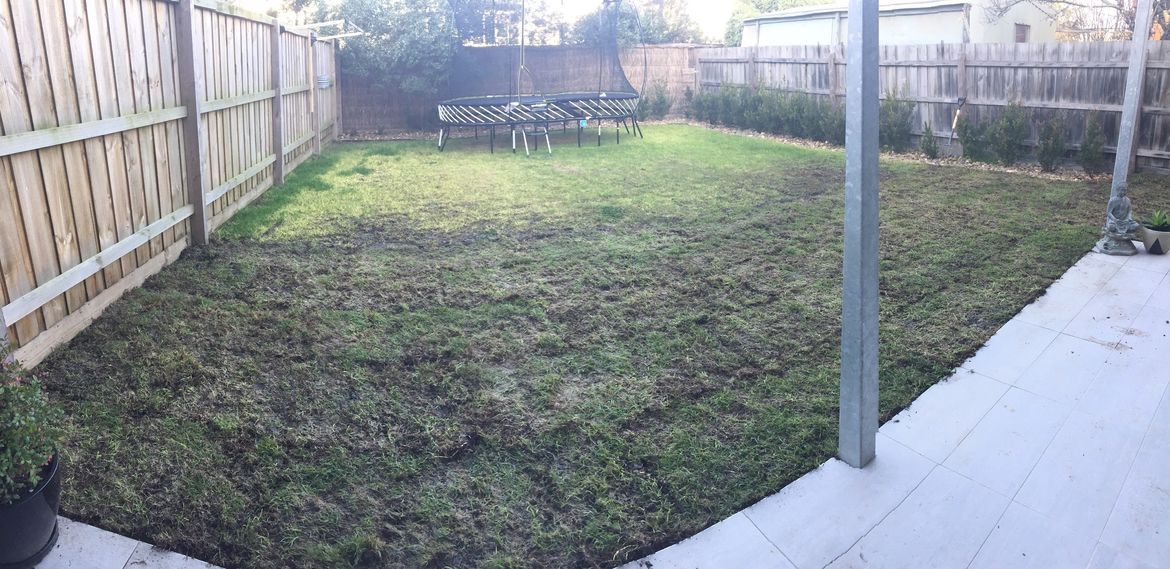 lawn-7.jpg