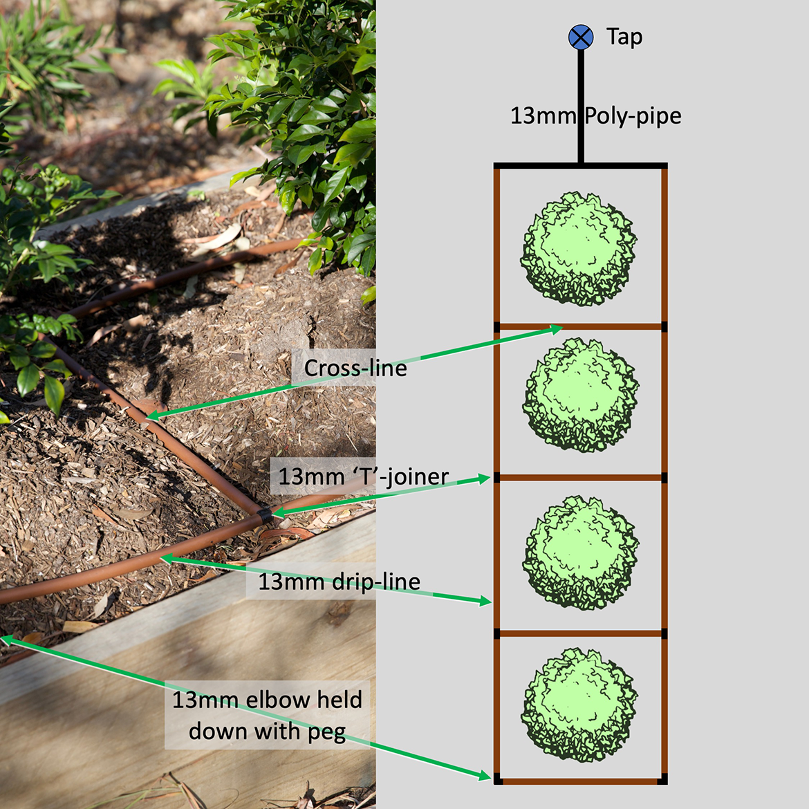 Understanding A Drip Irrigation Watering... | Bunnings Workshop Community