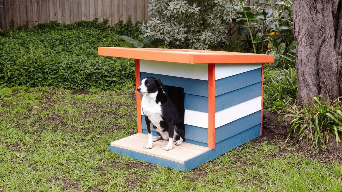 Dog house hotsell with ramp