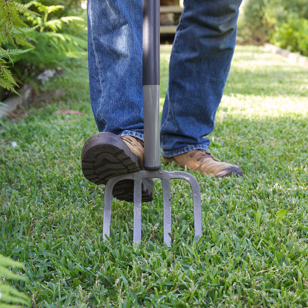 Use a garden fork to aerate your soil