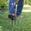 Use a garden fork to aerate your soil