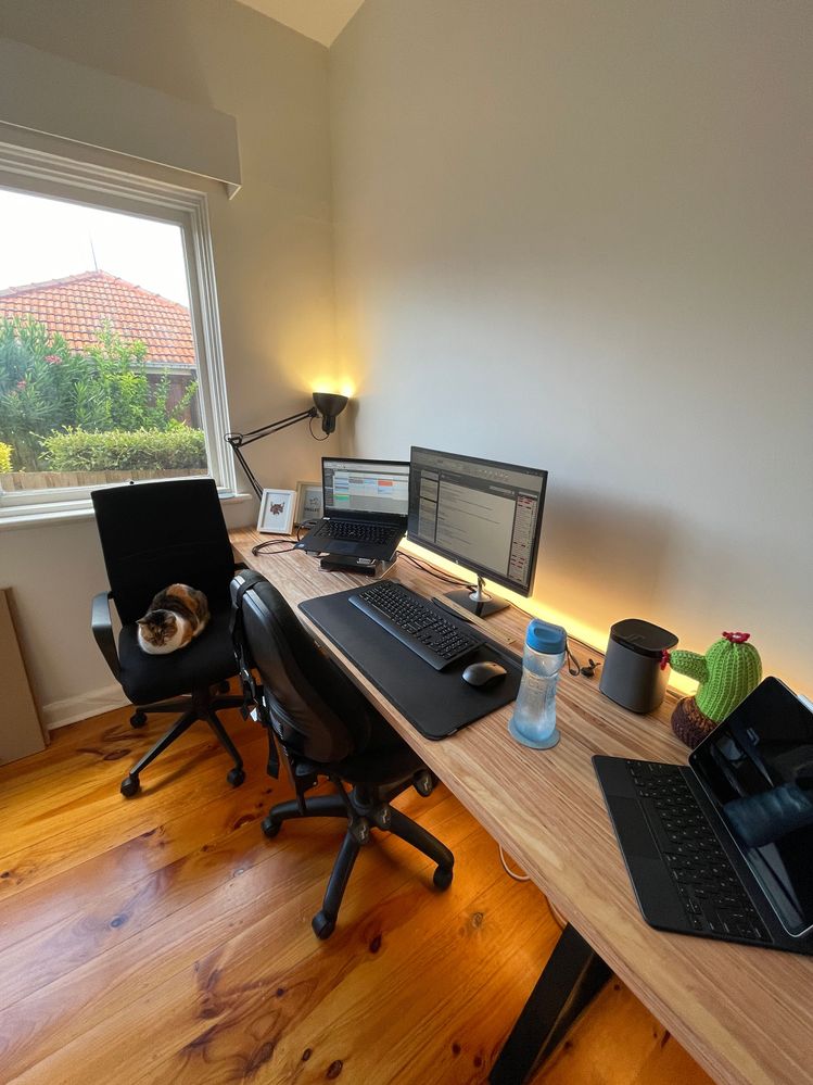 Finished desk, with an extra seat for my home office colleague.