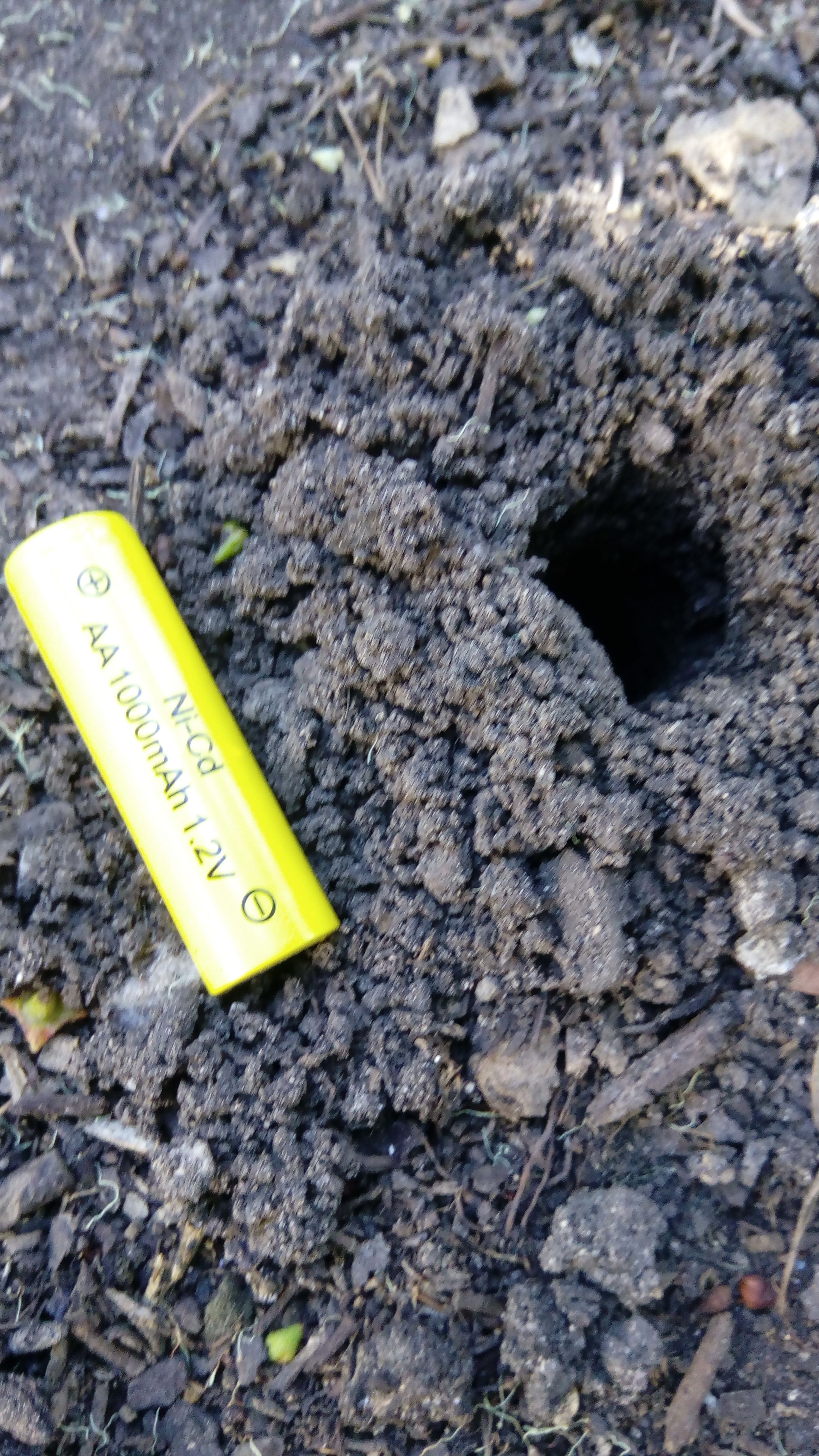 Holes Appearing In The Vege Garden Bunnings Workshop Community 9886