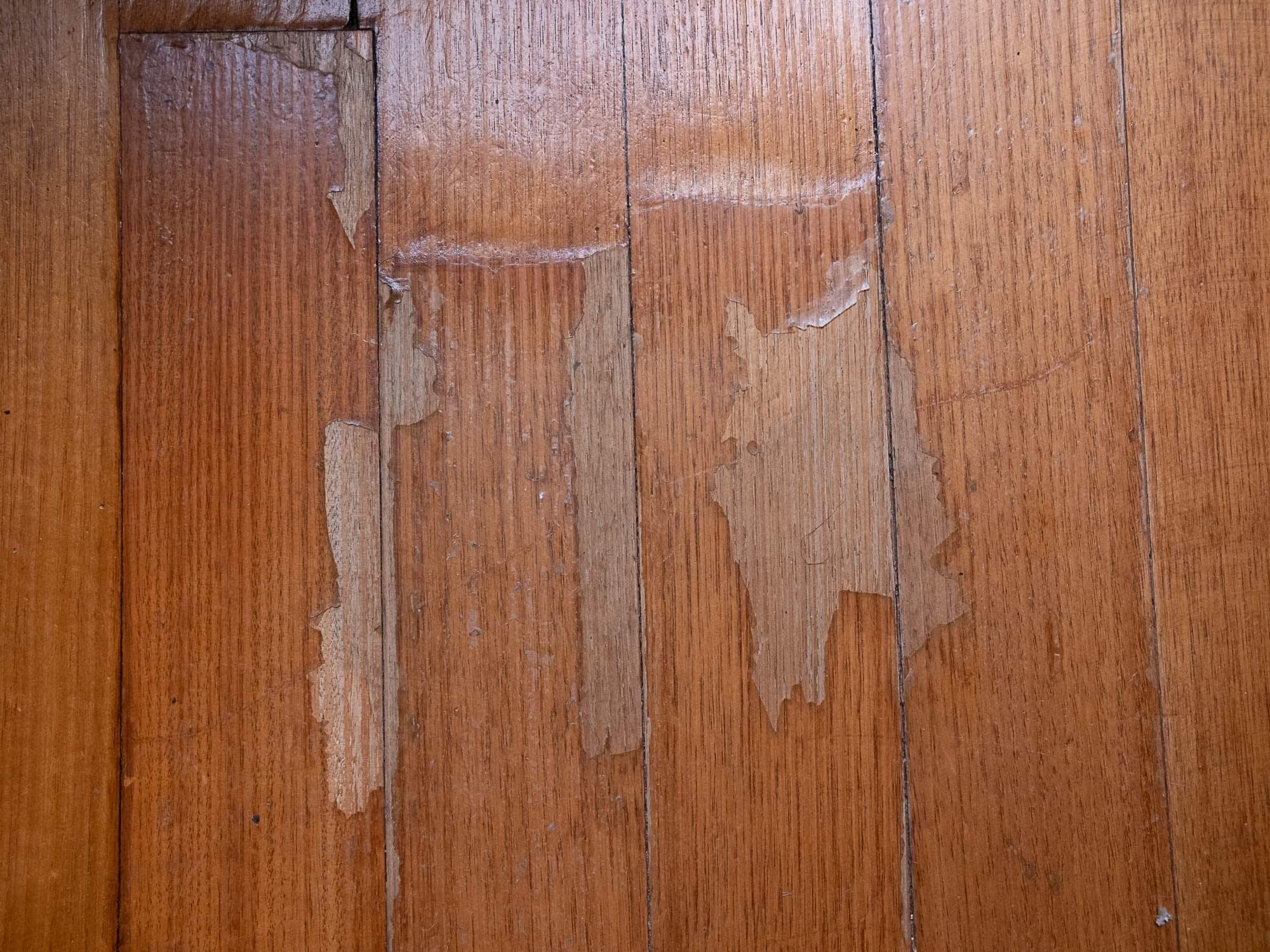 how-to-fix-scratches-in-floor-bunnings-workshop-community