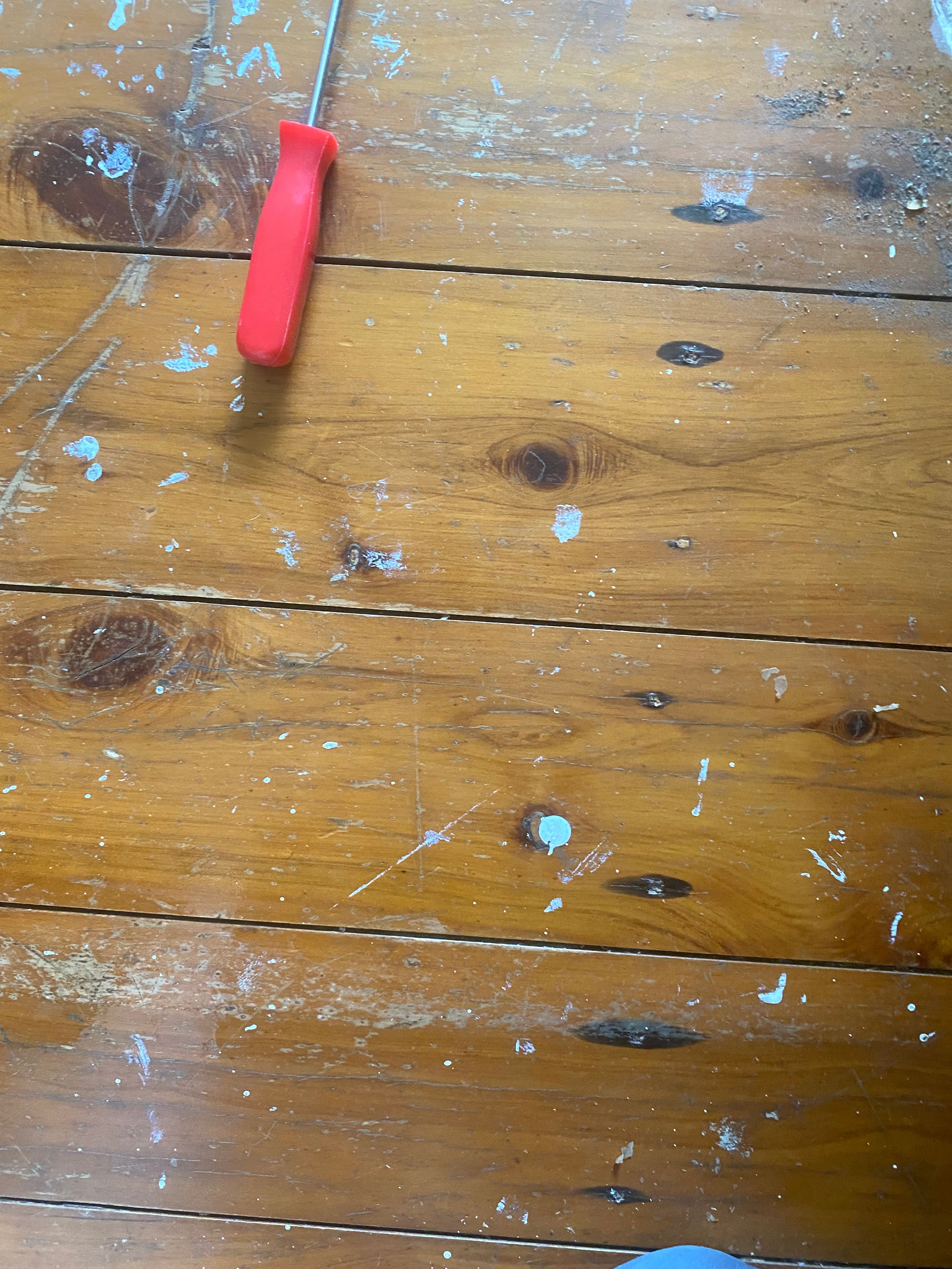 how-to-restore-timber-floorboards-bunnings-workshop-community