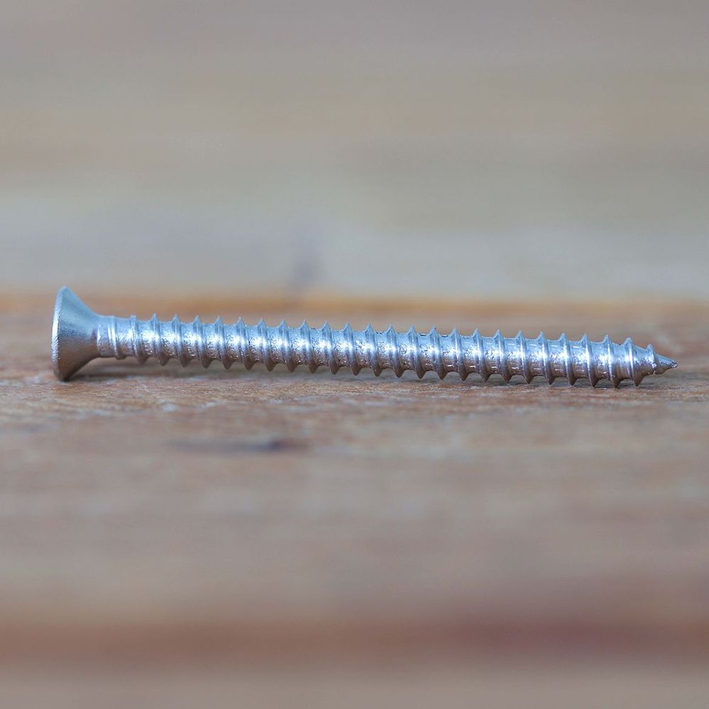 A stainless steel screw