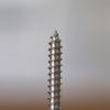 A self-tapping screw