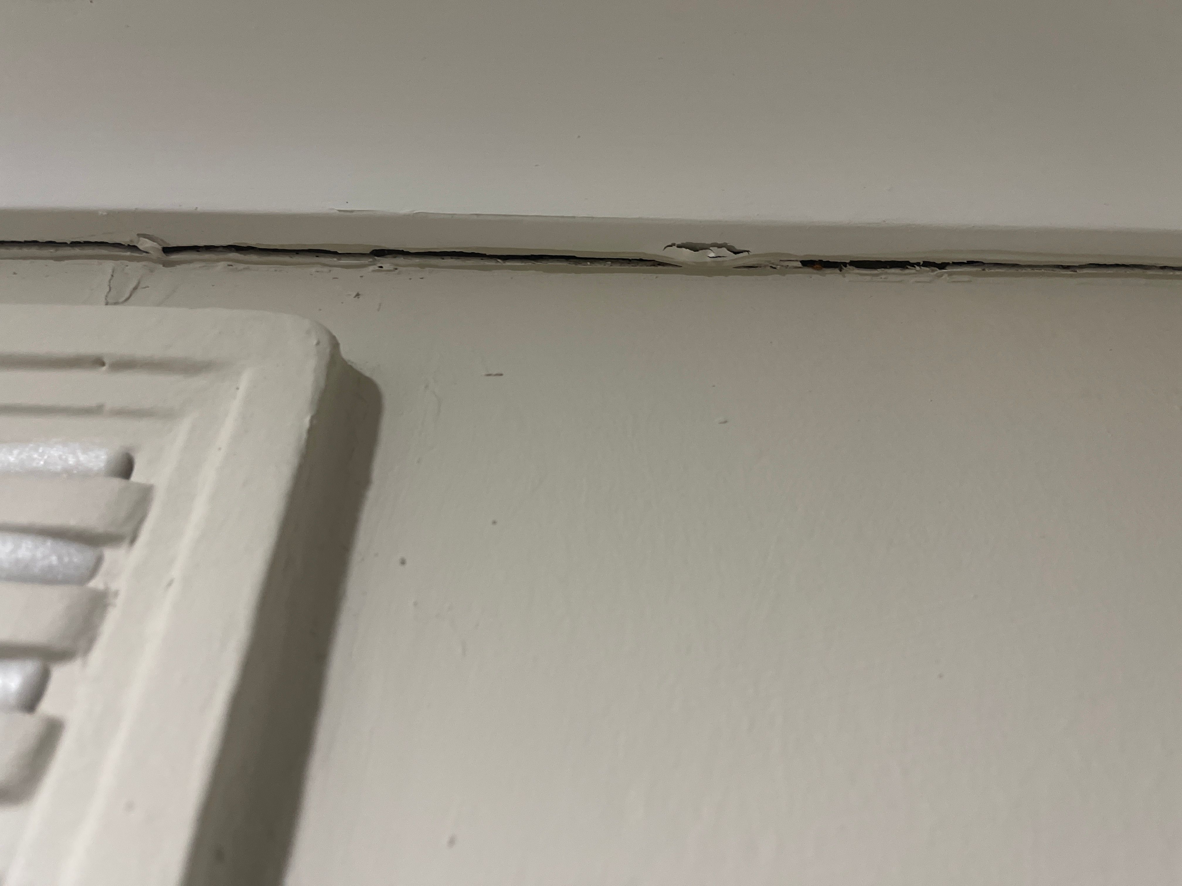 Solved: How to repair cracks on the wall, cellin... | Bunnings Workshop ...