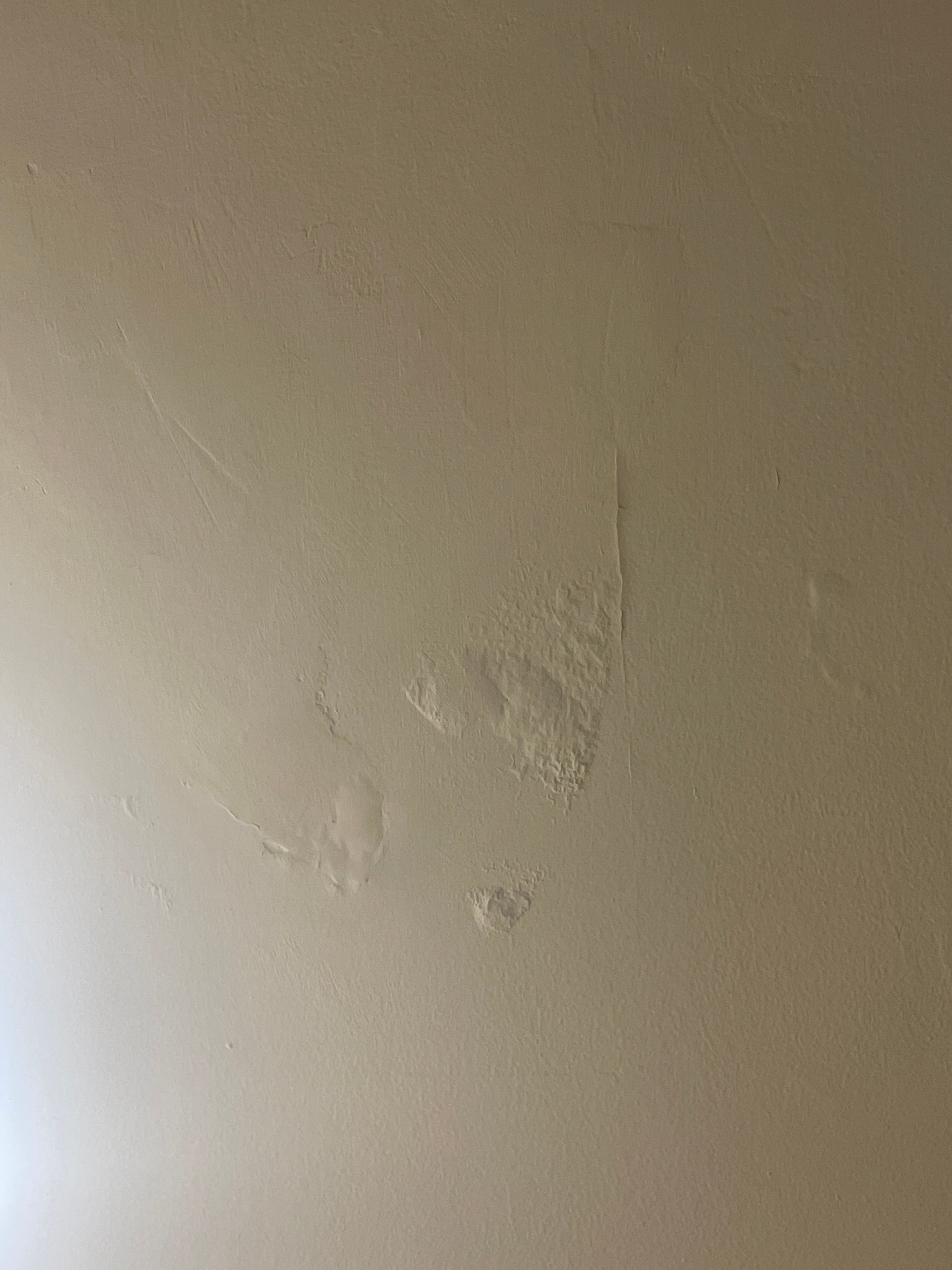 Solved: How to repair cracks on the wall, cellin... | Bunnings Workshop ...