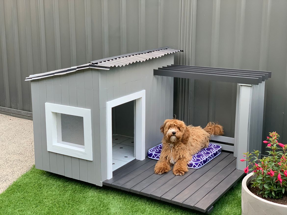 Dog kennel with clearance porch