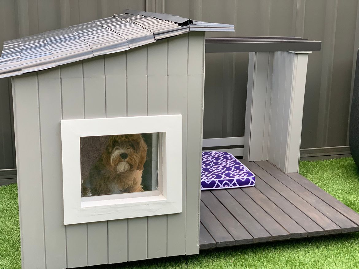 Bunnings dog kennel large sale