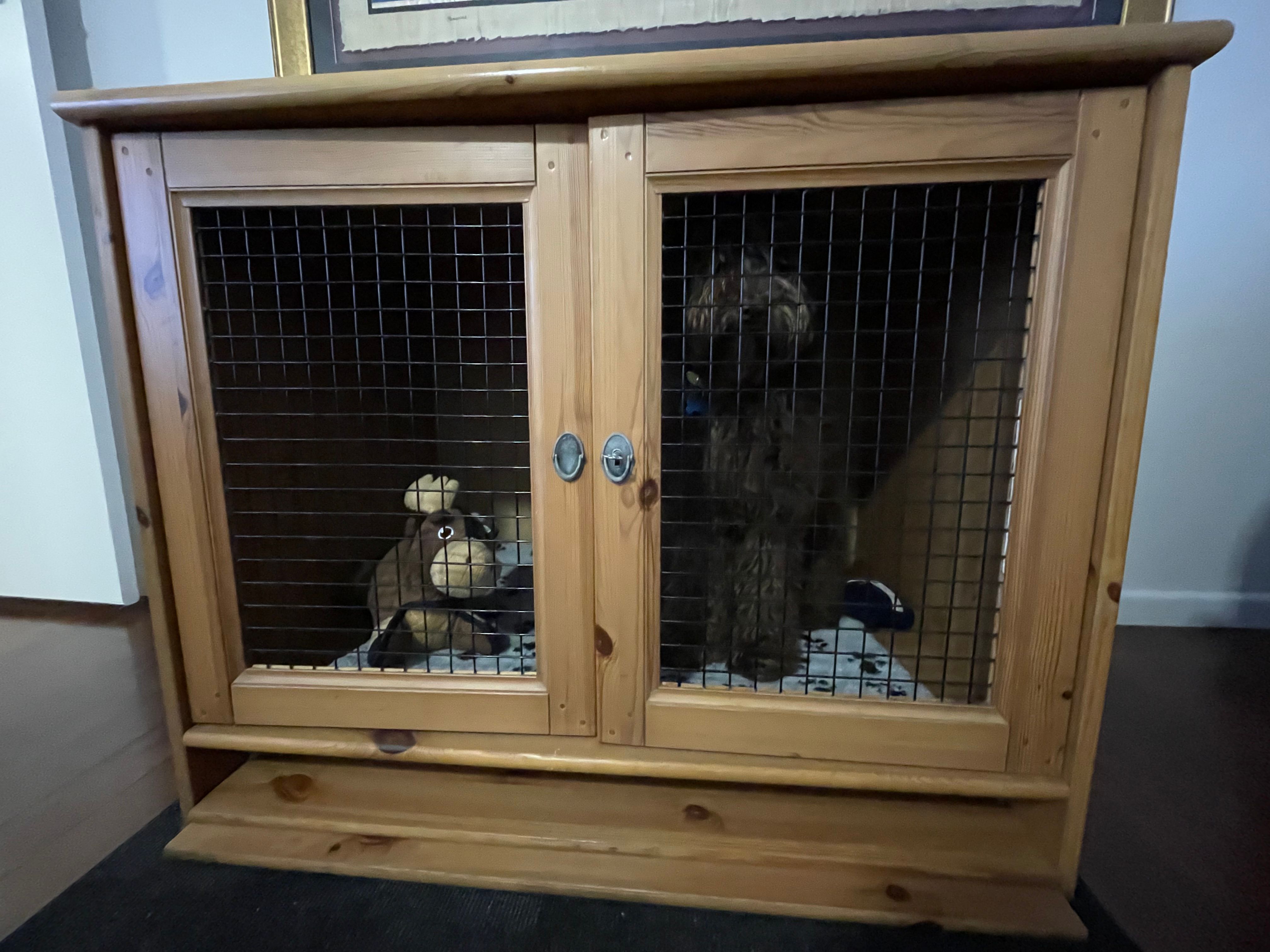 Crate kennel crates foter