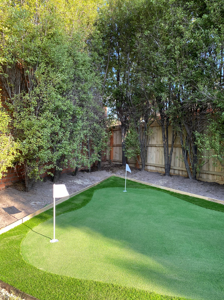 Back Yard DIY Putting Green: Everything You Need to Know!! 