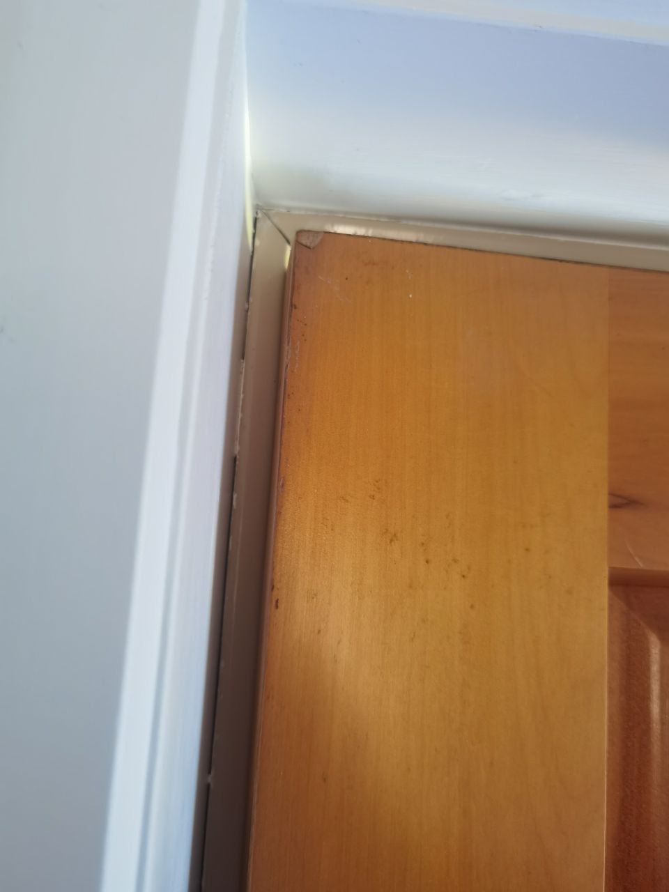 Solved: How To Fix A Sticking Door With Solid Ir... | Bunnings Workshop ...