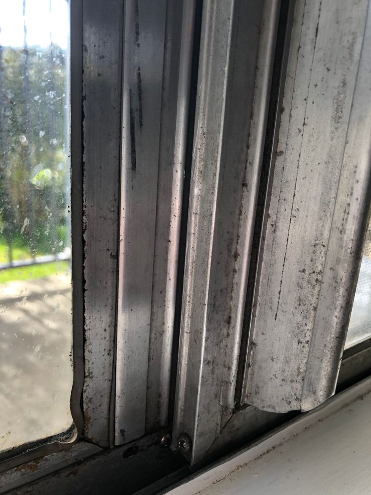 Window grime 1.jpg