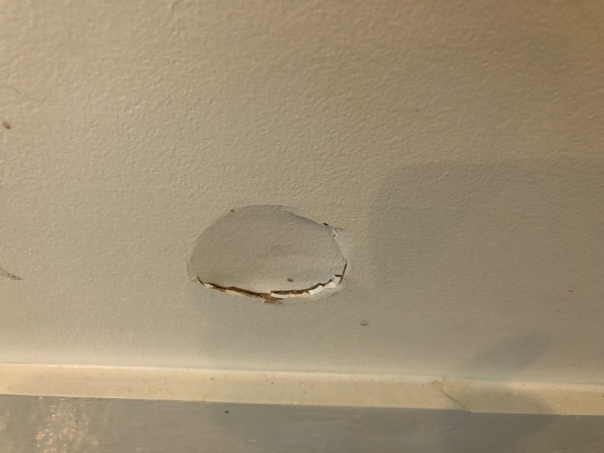 Patching holes in the wall | Bunnings Workshop community