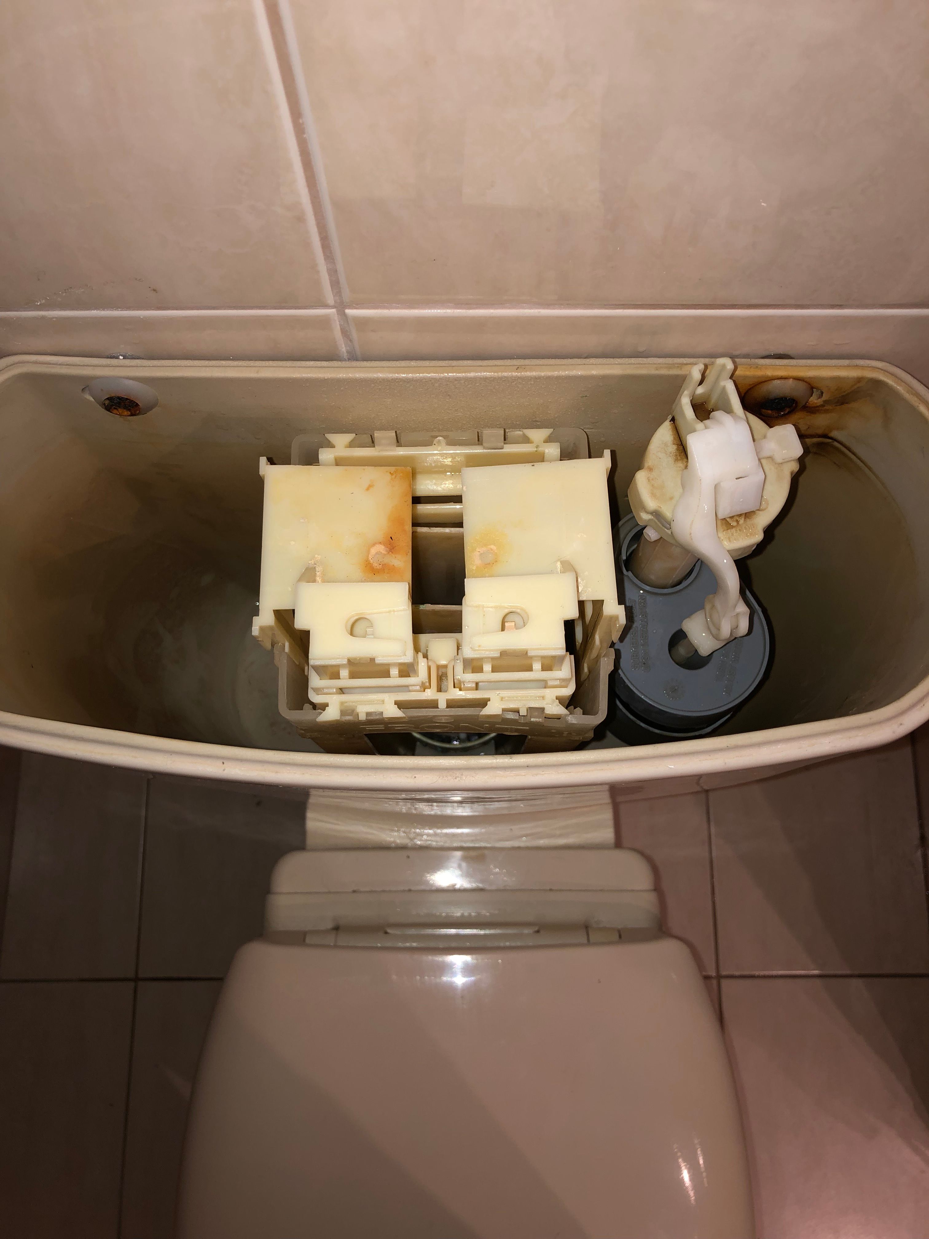 how-to-repair-a-leaking-caroma-dual-flush-toilet-by-changing-the