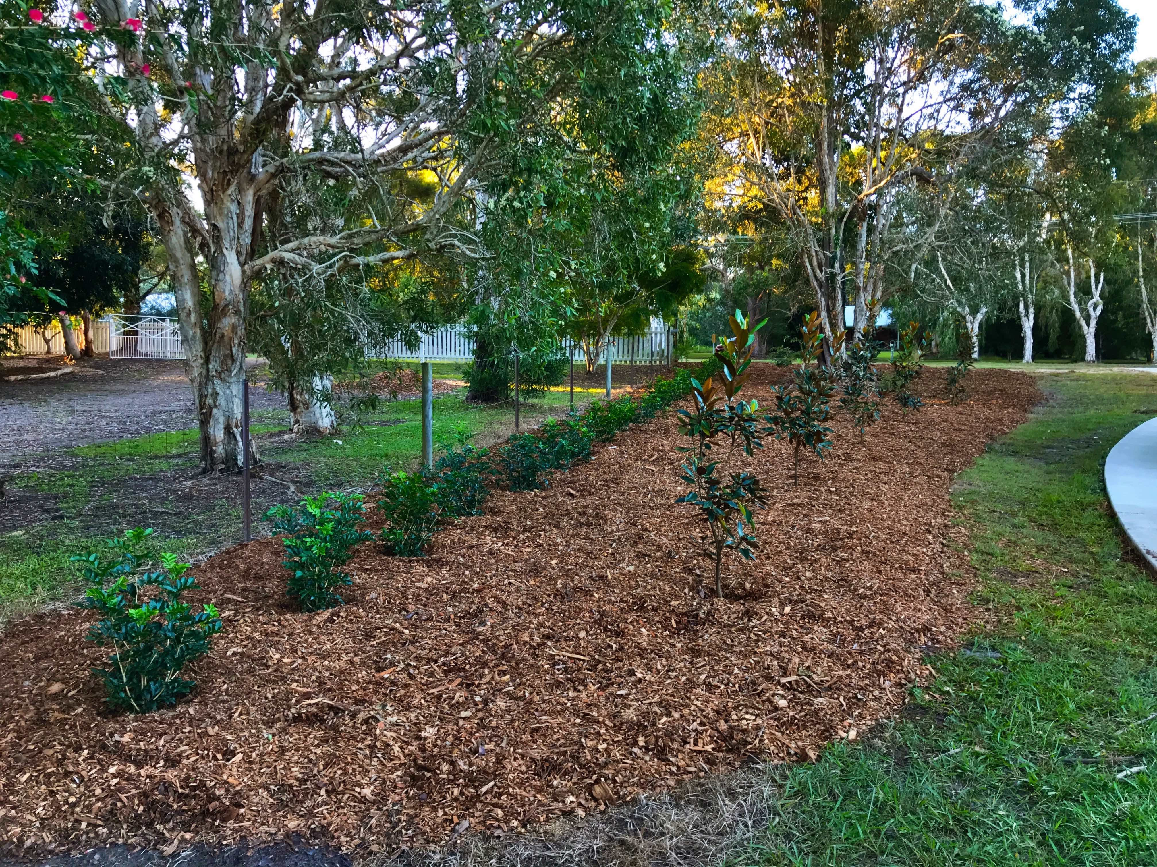 planting-a-new-native-hedge-bunnings-workshop-community