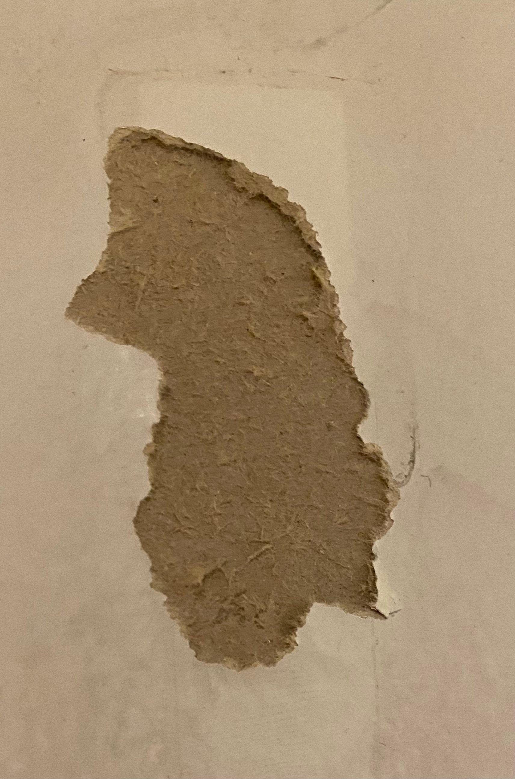 drywall - Paint got ripped off when trying to remove double-sided