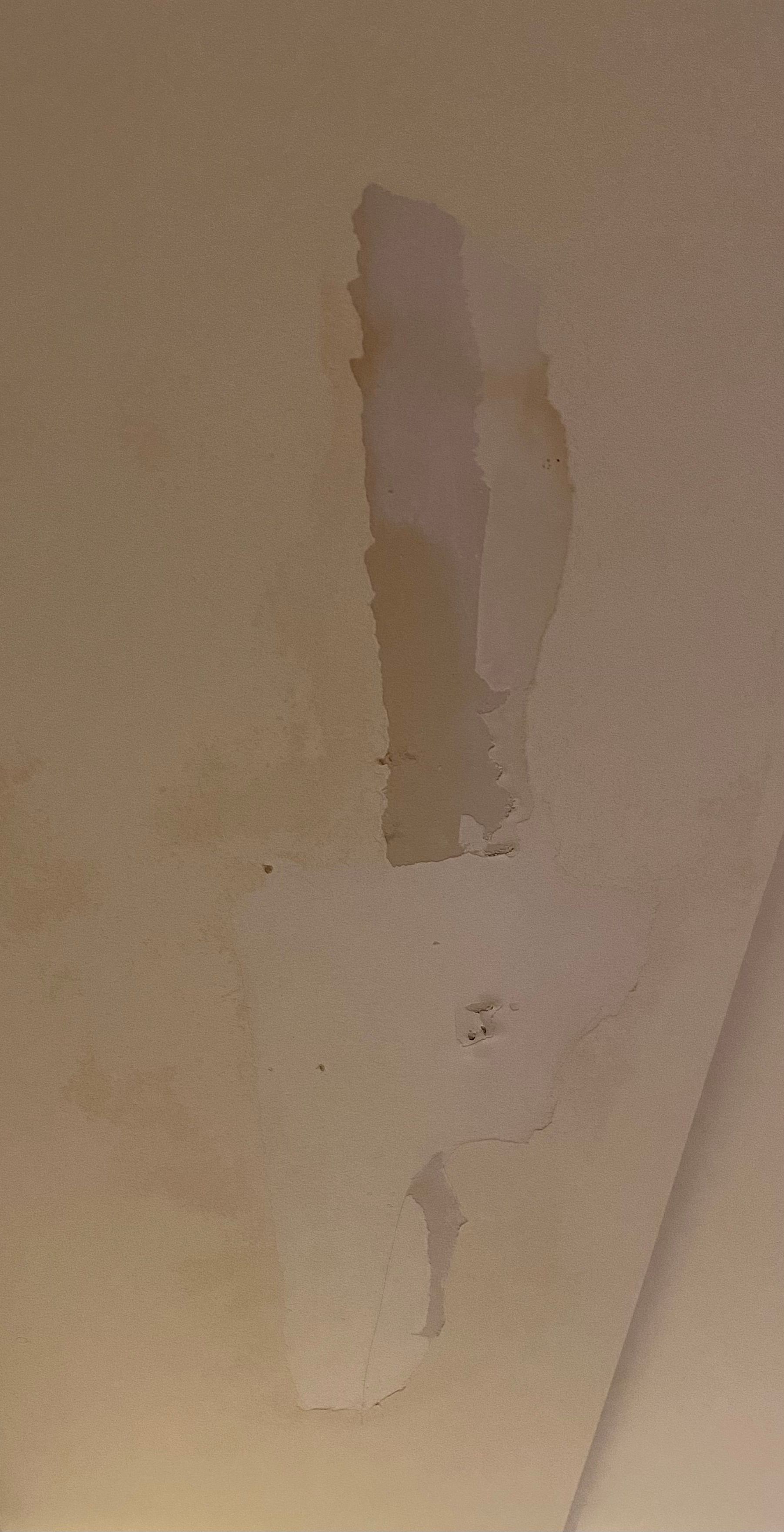 how-to-fix-ripped-paper-in-drywall-bunnings-workshop-community