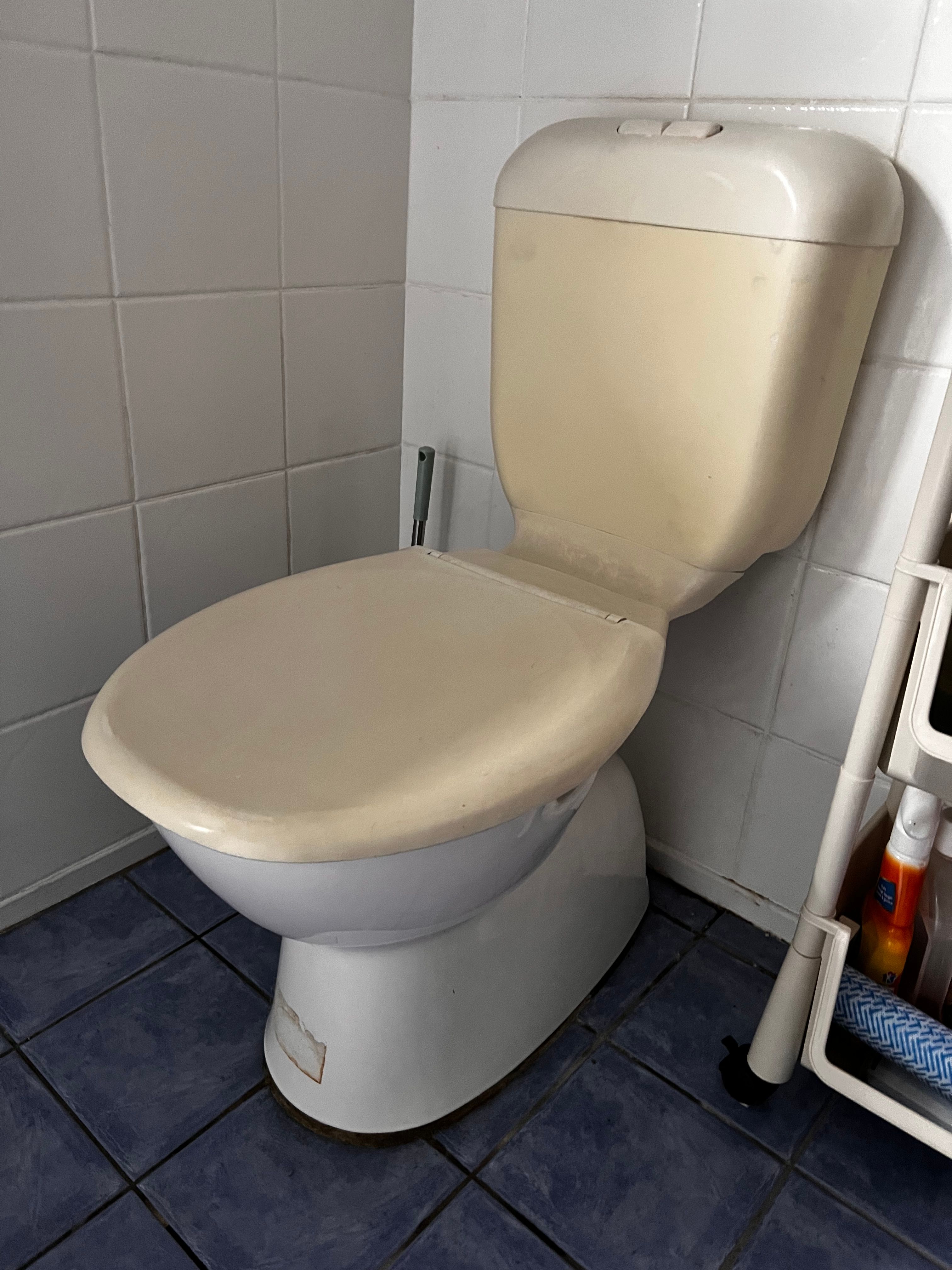 How to replace toilet cistern and seat? Bunnings community