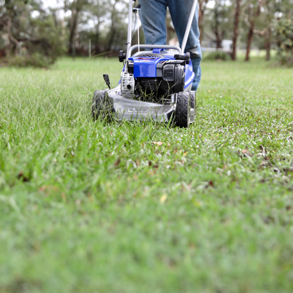 Don't forget to mow the lawn