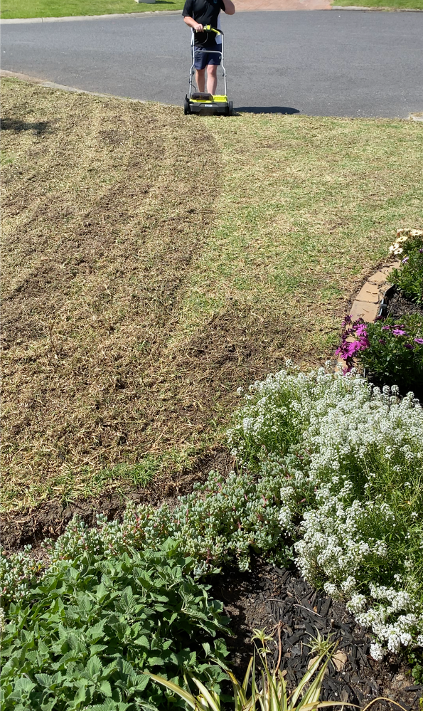 Lawn scarifier deals bunnings