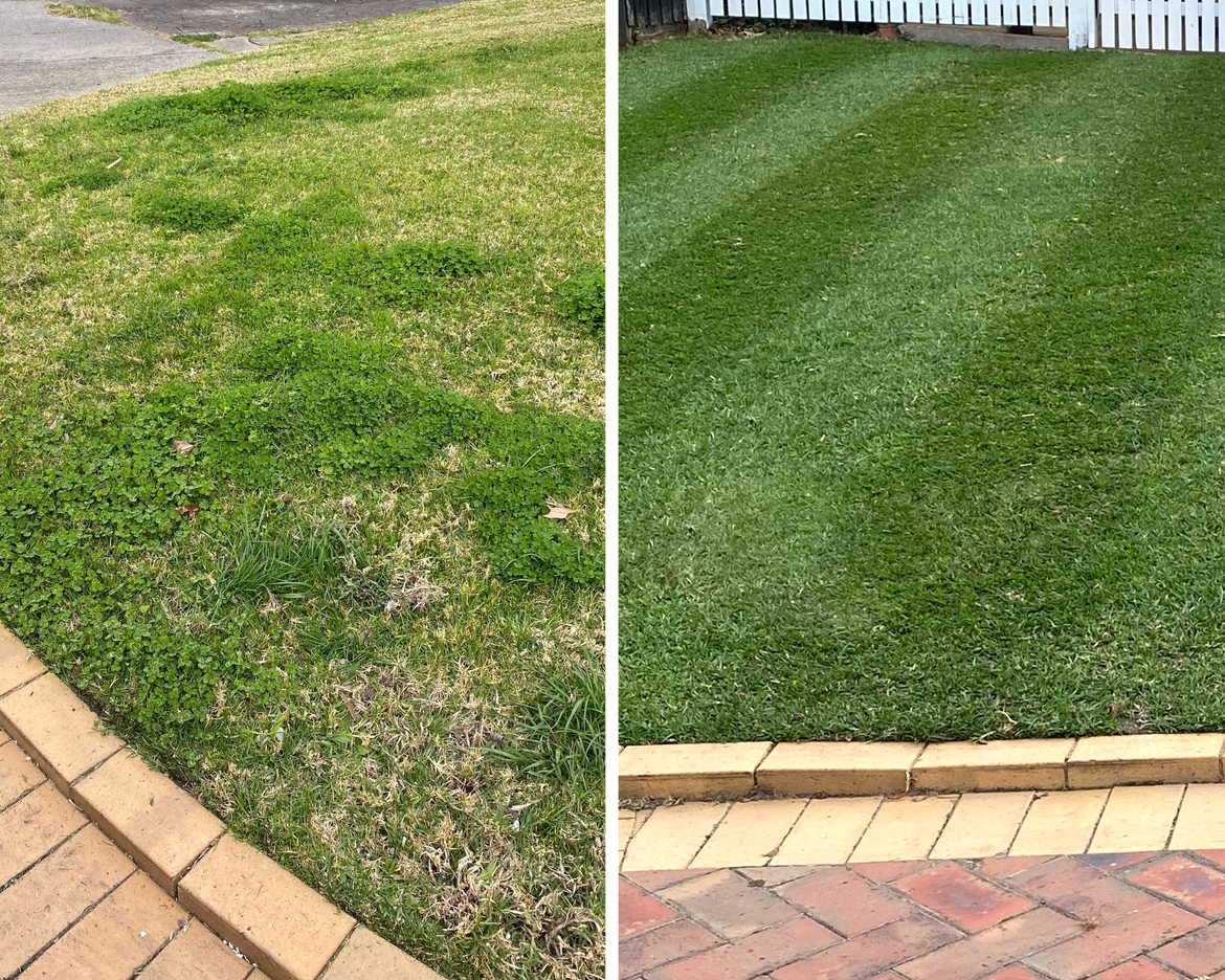 After on sale scarifying lawn