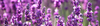 Hero Image Test Blog - 2022-11-29T161427.585.png