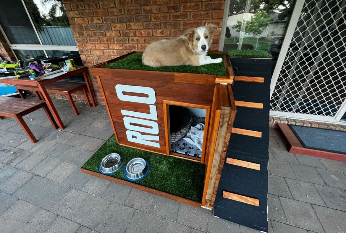 Dog kennel with ramp and rooftop